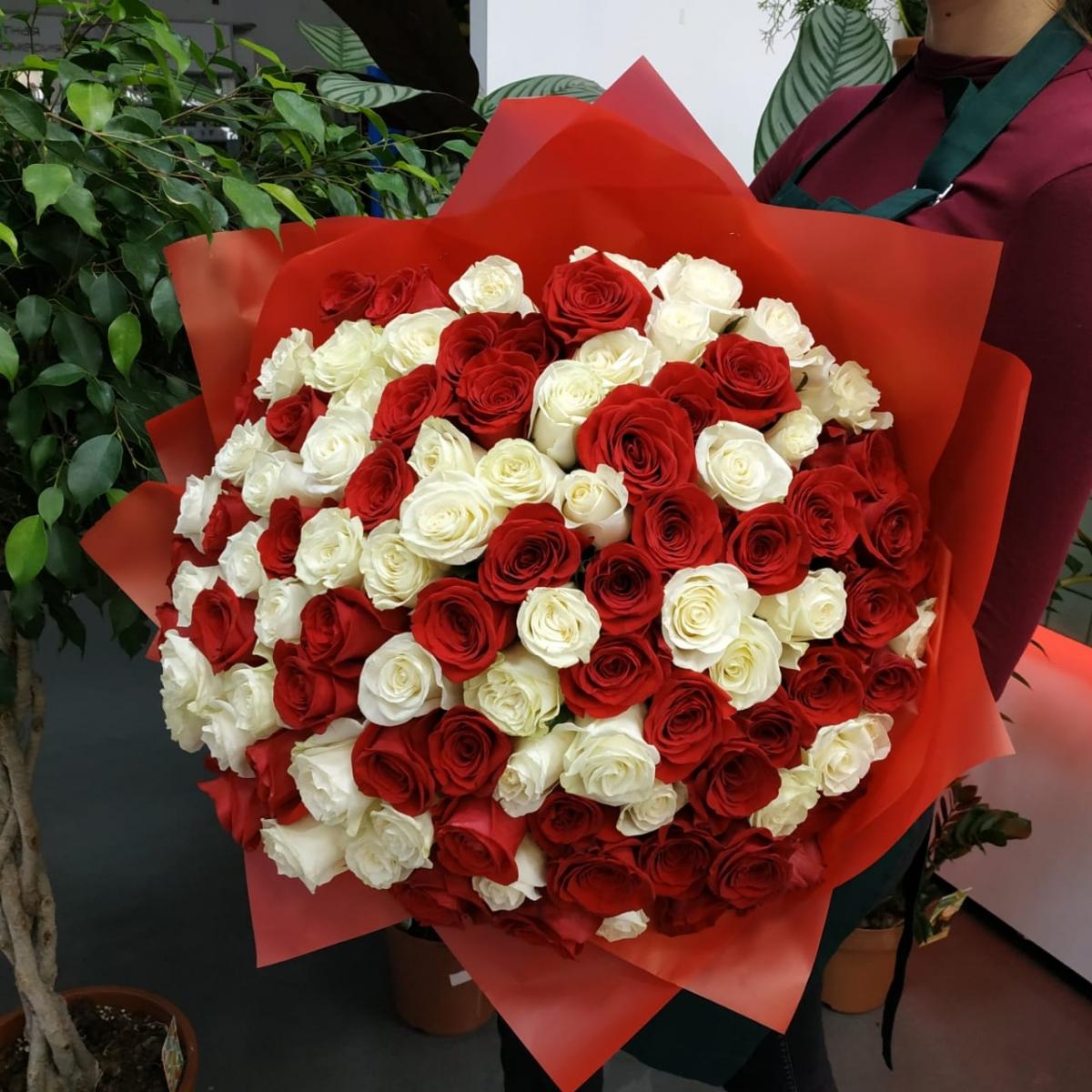 Букет из 101 розы (красные и белые розы) Артикул: 133302krkray